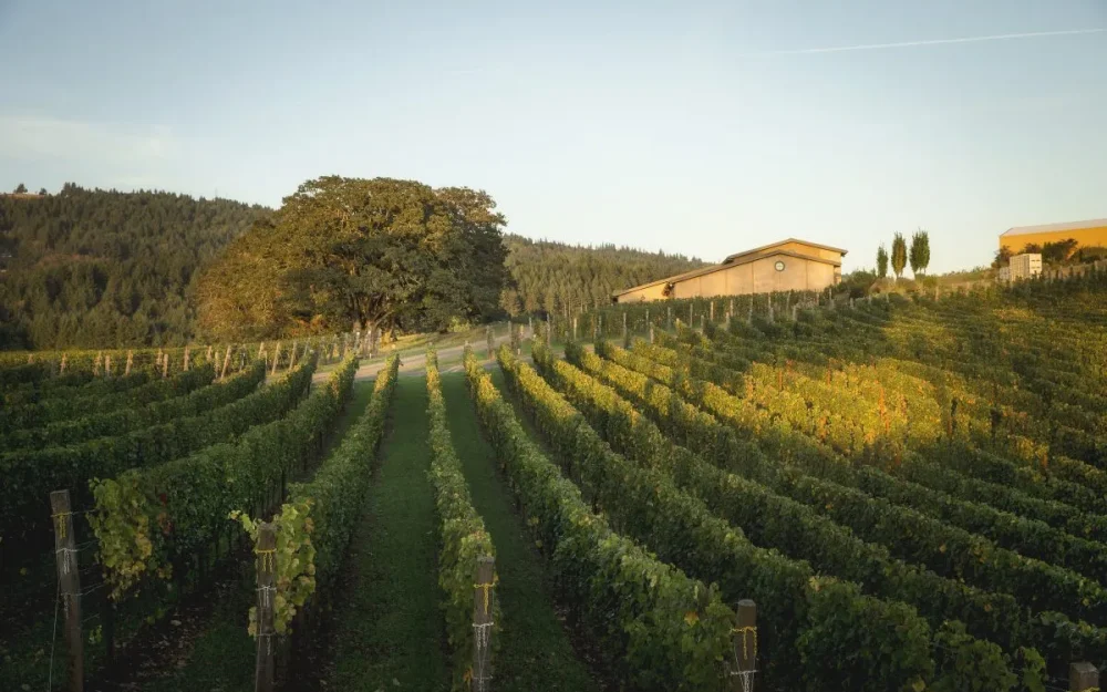 Appassionata Estate Vineyards in Oregon's Willamette Valley