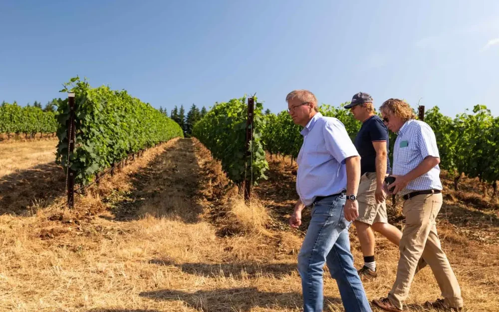 The Appassionata Winemaking crew walking through the vineyard