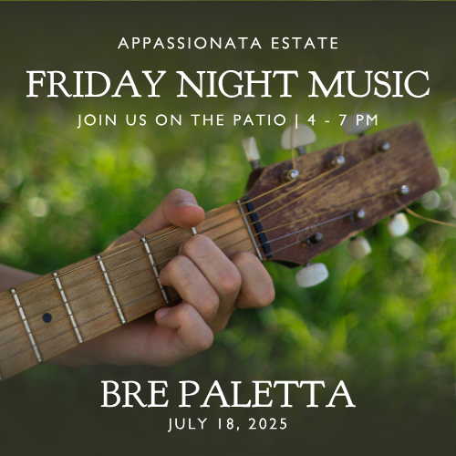 July 18 – Bre Paletta
