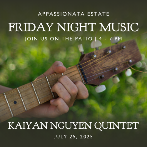 July 25 – Jazz Band