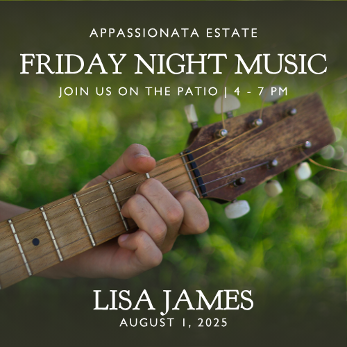 Website CArd August 1 – Lisa James