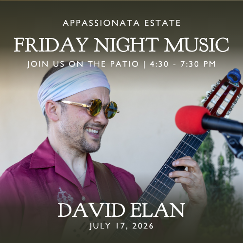 7_17 – David Elan