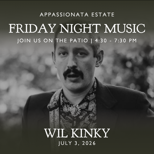 7_3 – Wil Kinky